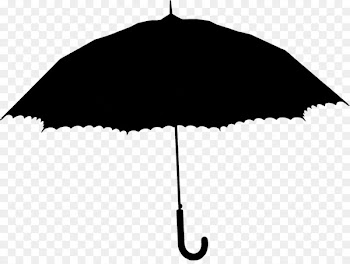 Flood insurance Emergency In the Wake of a Flood Flood control -  