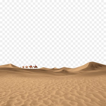 Floor Brown Sky Pattern - The camel in the desert 