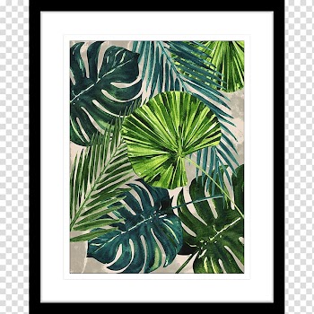 Flora Frames Leaf Plant Pattern, monstera transparent background PNG clipart