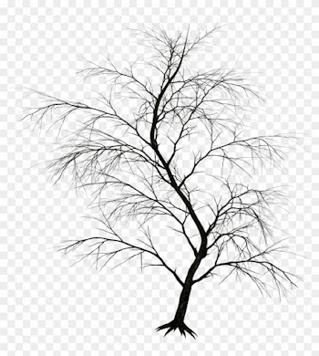 Flora Stock By Roy3d On Deviantart - Dark Tree Png