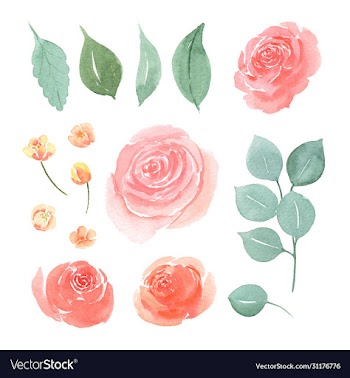 floral and leaves watercolor elements set hand
