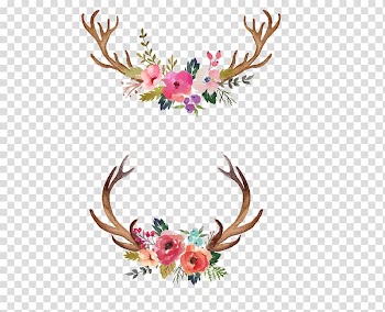 Floral antler , Watercolour Flowers Watercolor painting, Hand painted watercolor flower antler decorative pattern transparent background PNG clipart