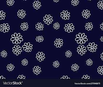 Floral background daisies contours vector image