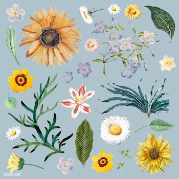 Floral background pattern | Free stock vector - 544975