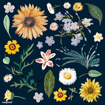 Floral background pattern | Free stock vector - 544982