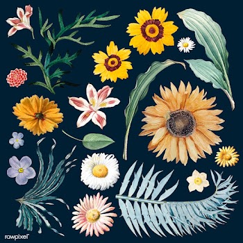 Floral background pattern | Free stock vector - 544996