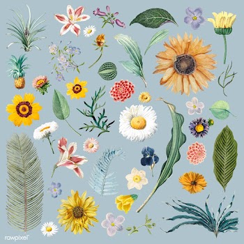 Floral background pattern | Free stock vector - 545062