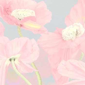 Floral background, pink poppy psychedelic art | Free stock illustration | High Resolution graphic