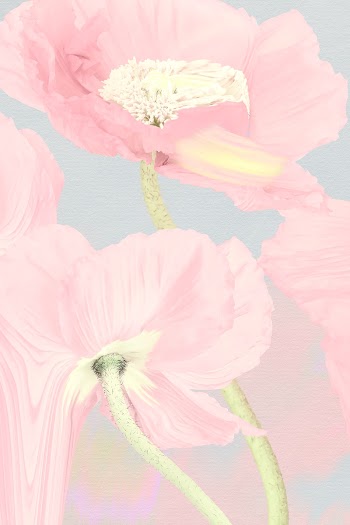 Floral background, pink poppy psychedelic art | Free stock illustration | High Resolution graphic