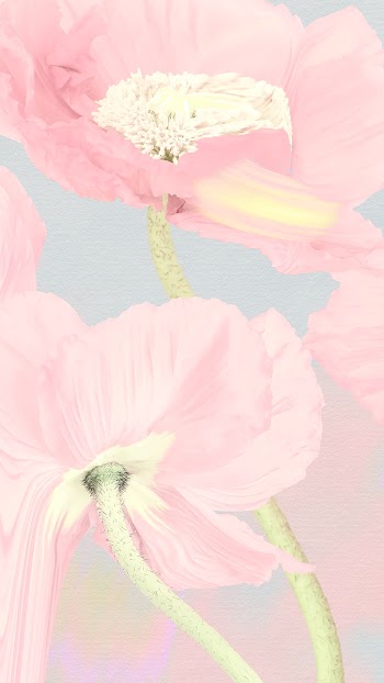 Floral background, pink poppy psychedelic art | Free stock illustration | High Resolution graphic