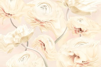 Floral background vector, beige buttercup… | Free stock illustration | High Resolution graphic
