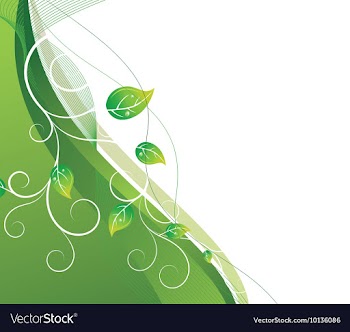 Floral background vector image