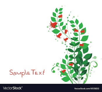 Floral background vector image