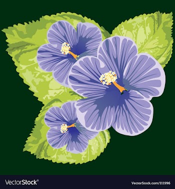 Floral background vector image