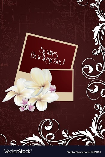 Floral background vector image