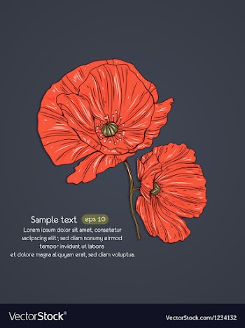 Floral background vector image