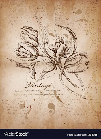 Floral background vector image