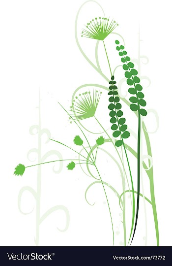  					Floral background vector image														
