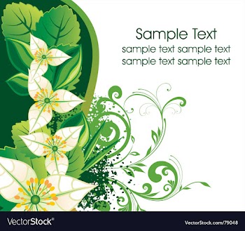 Floral background vector image
