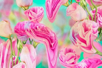 Floral background vector, pink rose… | Free stock illustration | High Resolution graphic