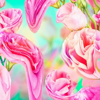 Floral background wallpaper, pink rose… | Free stock illustration | High Resolution graphic