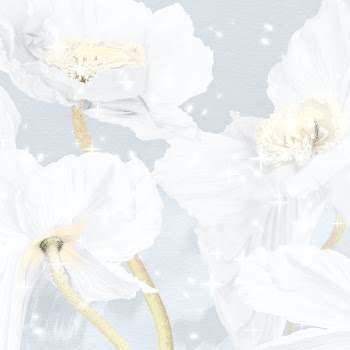 Floral background, white poppy abstract art | Free stock illustration | High Resolution graphic