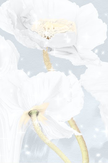 Floral background, white poppy abstract art | Free stock illustration | High Resolution graphic
