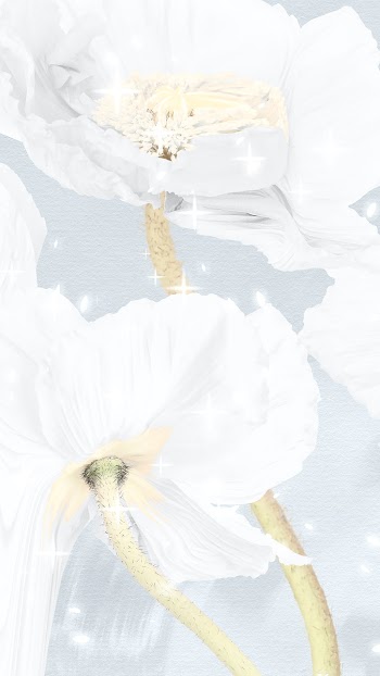 Floral background, white poppy abstract art | Free stock illustration | High Resolution graphic