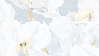 Floral background, white poppy abstract art | Free stock illustration | High Resolution graphic