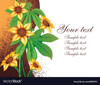 Floral Background with Text Space vector image
