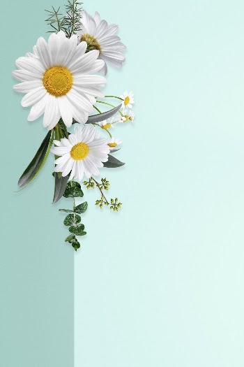 Floral border background, flower, botanical | Free Photo - rawpixel