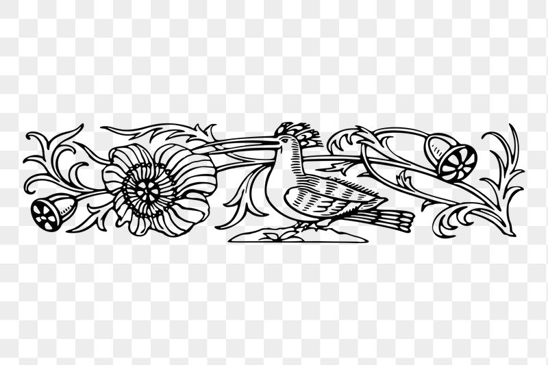 Floral border png sticker illustration, | Free PNG - rawpixel