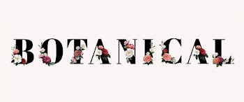 Floral botanical typography | Free stock vector - 583186
