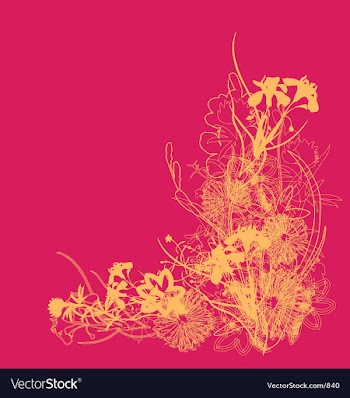 Floral burst vector image