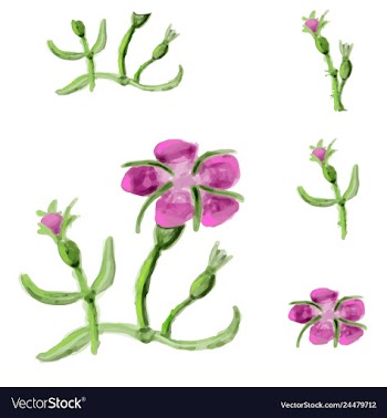 Floral card design garden flower lavender pink vector image