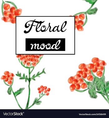 Floral card design garden flower lavender pink vector image