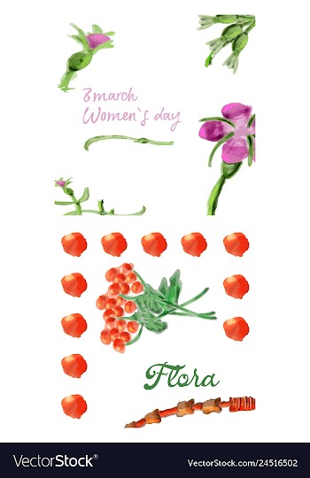 Floral card design garden flower lavender pink vector image