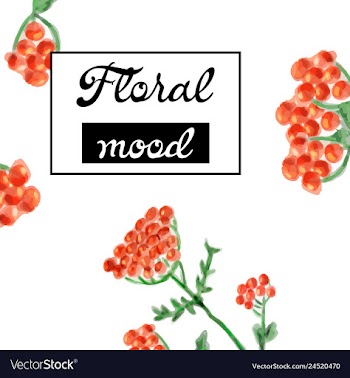 Floral card design garden flower lavender pink vector image