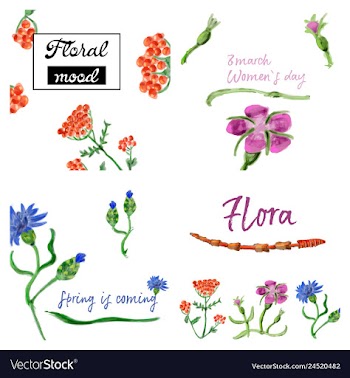 Floral card design garden flower lavender pink vector image