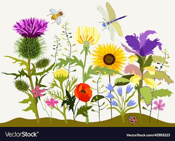 floral composition summer blooming plants