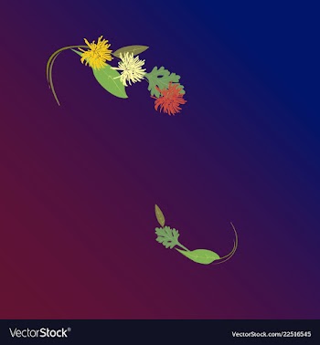 Floral composition with flowers and leaves vector image