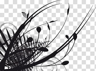 Floral corner, black and white abstract painting transparent background PNG clipart