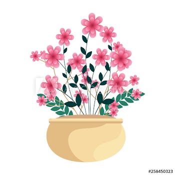floral decoration in ceramic pot