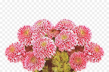 Floral design