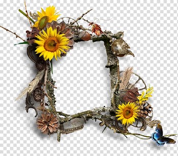 Floral design Adobe shop Graphic design, design transparent background PNG clipart