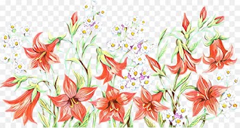 Floral Design, Amaryllis, Jersey Lily, Flower, Pink PNG