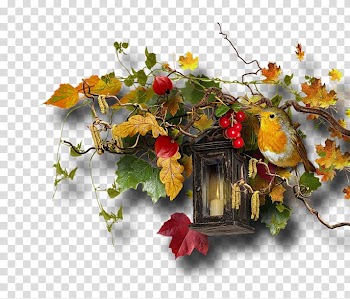 Floral design Autumn Cut flowers Leaf, autumn transparent background PNG clipart