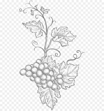 Floral Design, Black White M, Drawing, White, Line Art PNG
