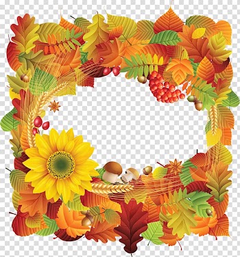 Floral design Border Flowers Frames Cut flowers, flower transparent background PNG clipart