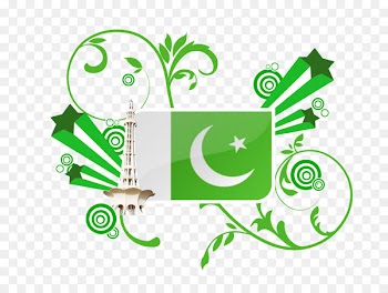 Floral design Brush - pakistan flag 
